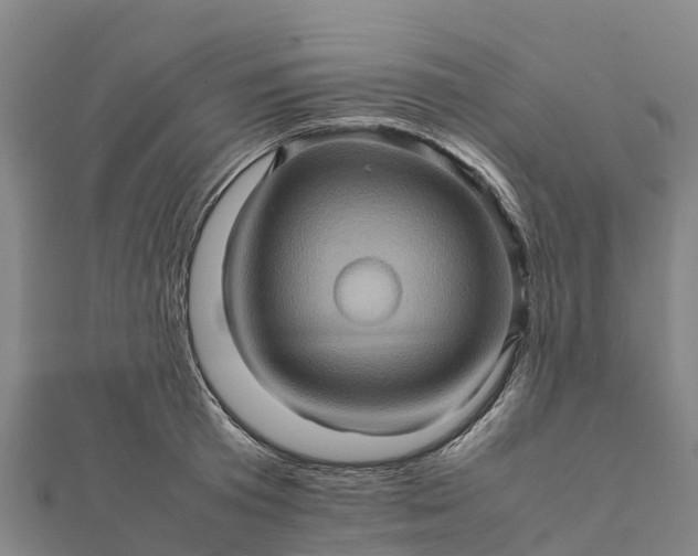 X0000112090801200908181302