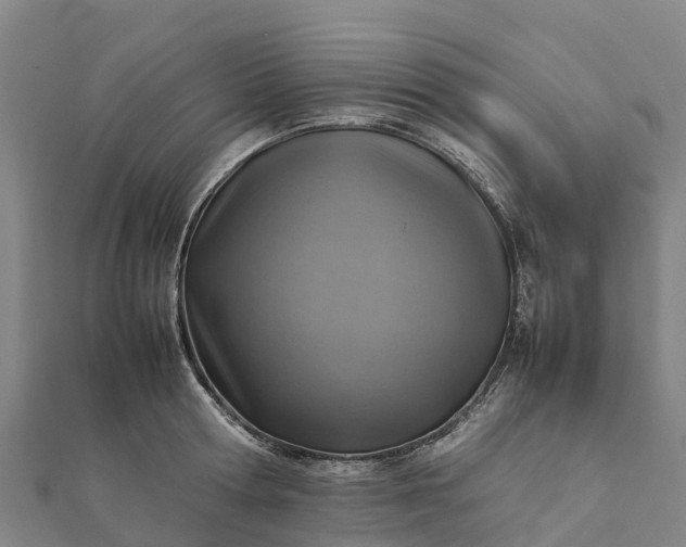 X0000112090802200908181302