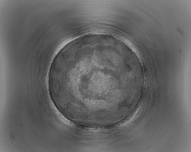 X0000112090803200908181302