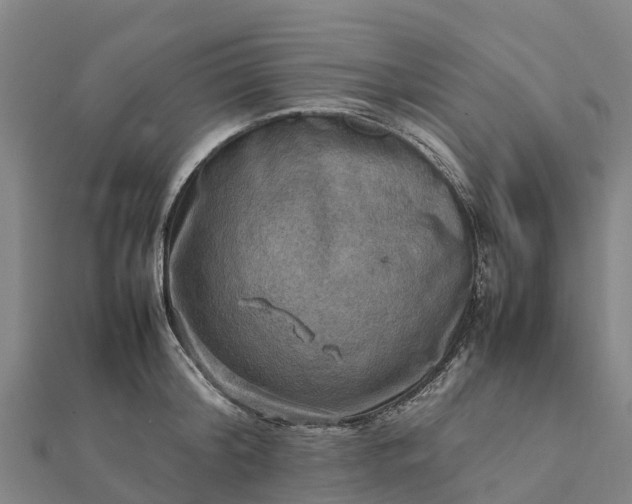 X0000112090804200908181302