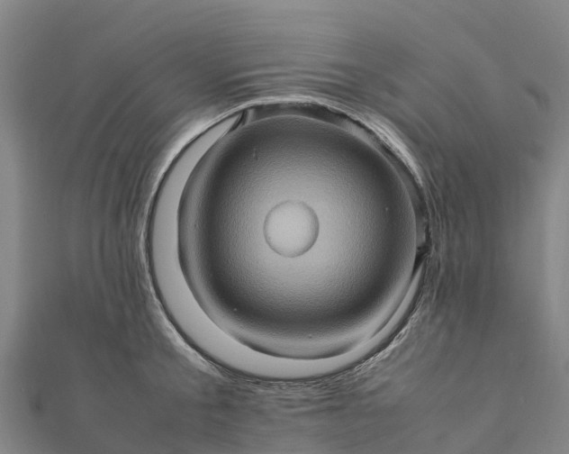 X0000112090805200908181302