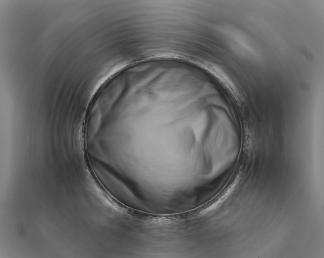 X0000112090806200908181302