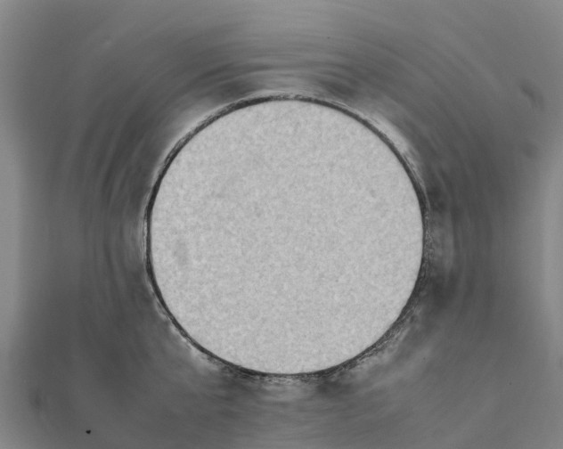 X0000112090807200908181302