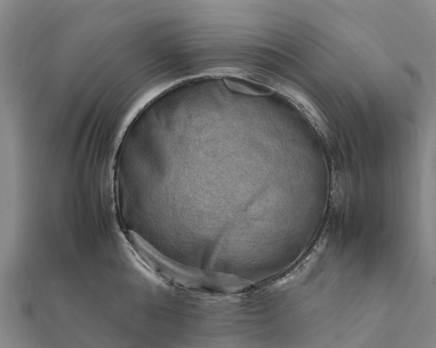 X0000112090808200908181302