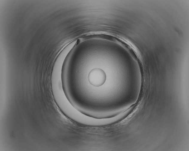 X0000112090809200908181302