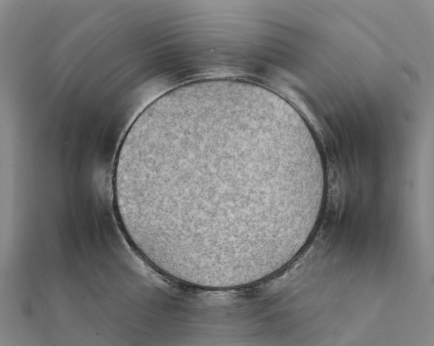 X0000112090810200908181302