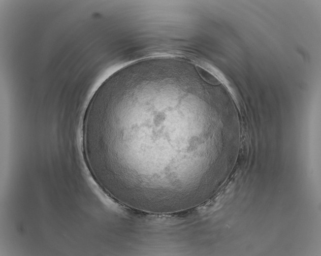 X0000112090811200908181302