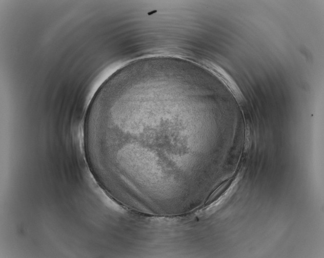 X0000112090812200908181302