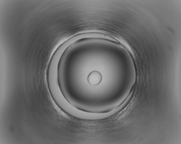 X0000112090813200908181302