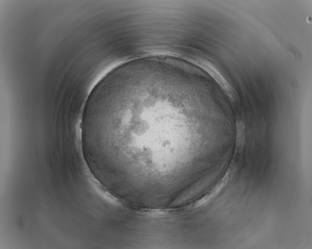 X0000112090814200908181302