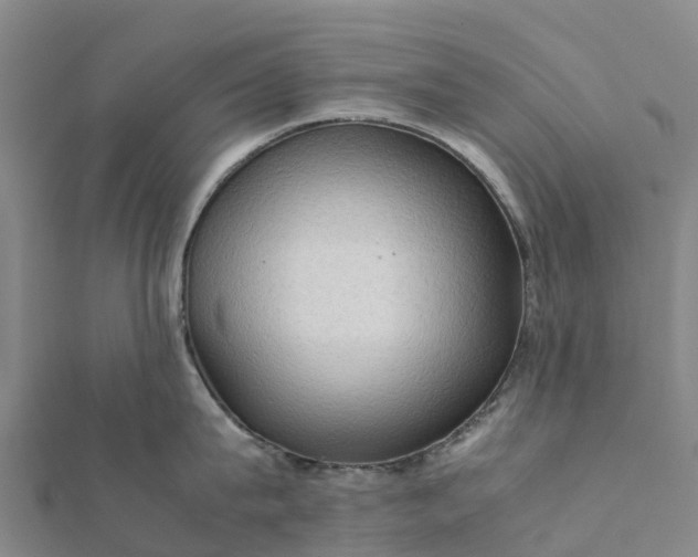 X0000112090815200908181302