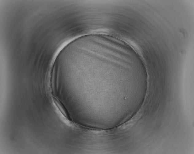 X0000112090816200908181302