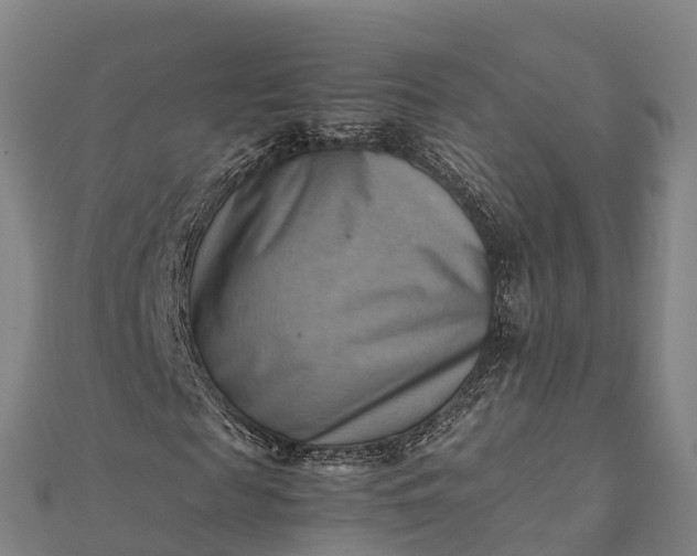 X0000112090817200908181301