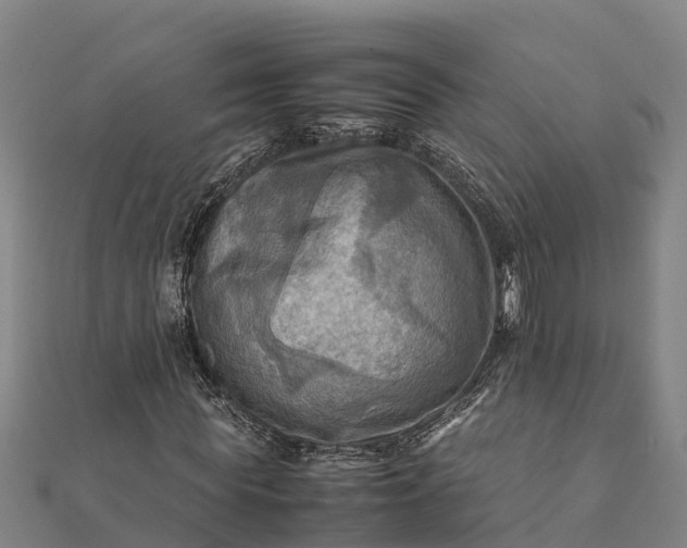 X0000112090819200908181302