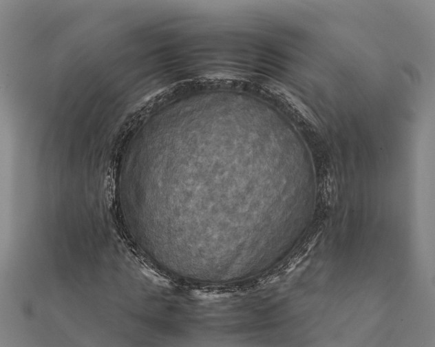 X0000112090821200908181302