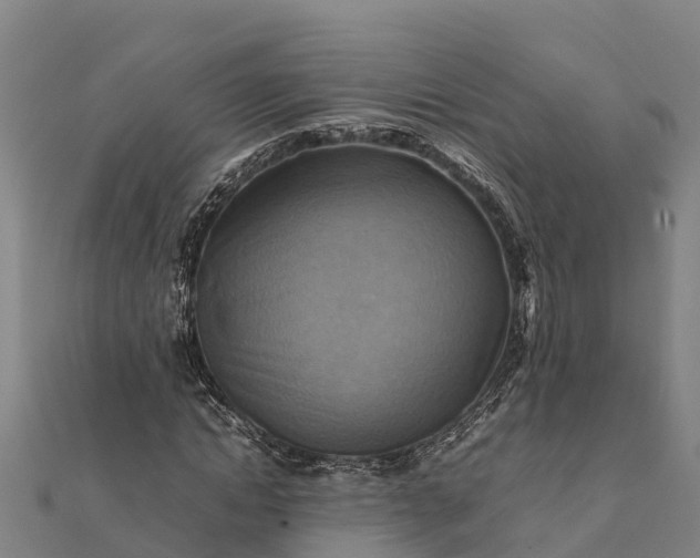 X0000112090822200908181302