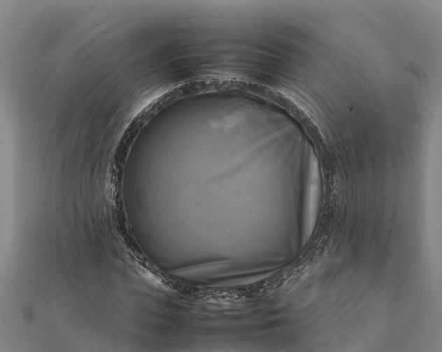 X0000112090823200908181302