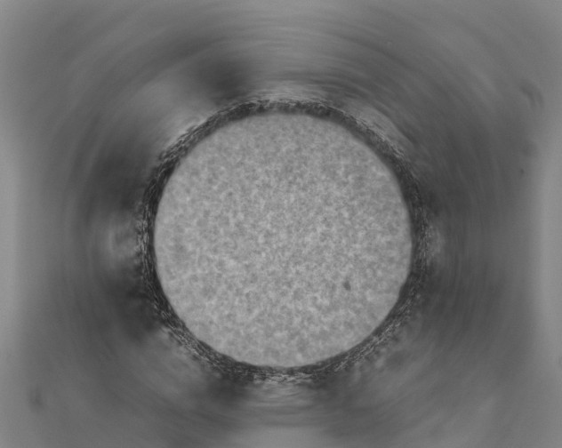 X0000112090824200908181302