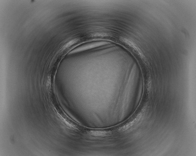 X0000112090825200908181302