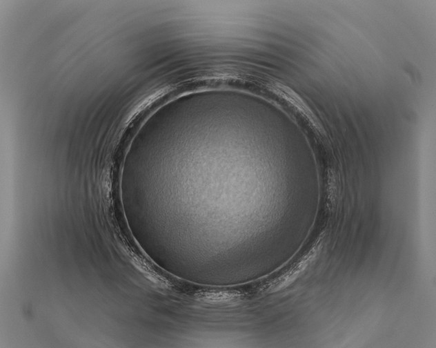 X0000112090826200908181302