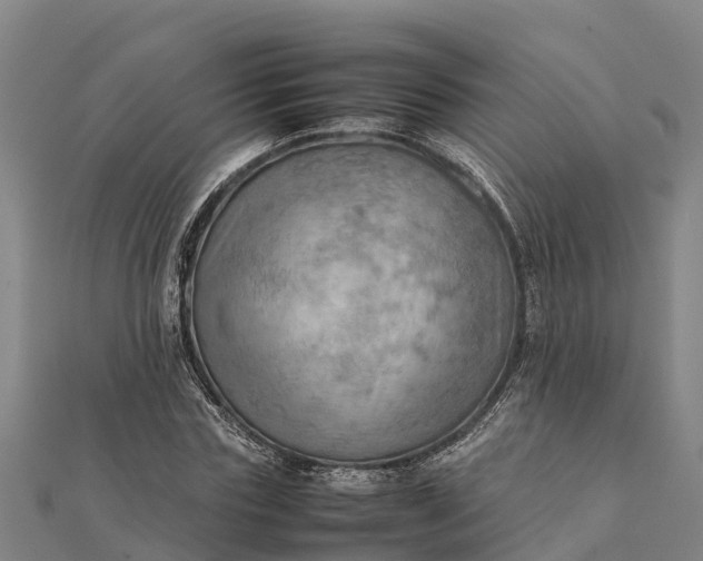 X0000112090827200908181302