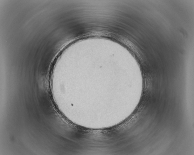 X0000112090828200908181302