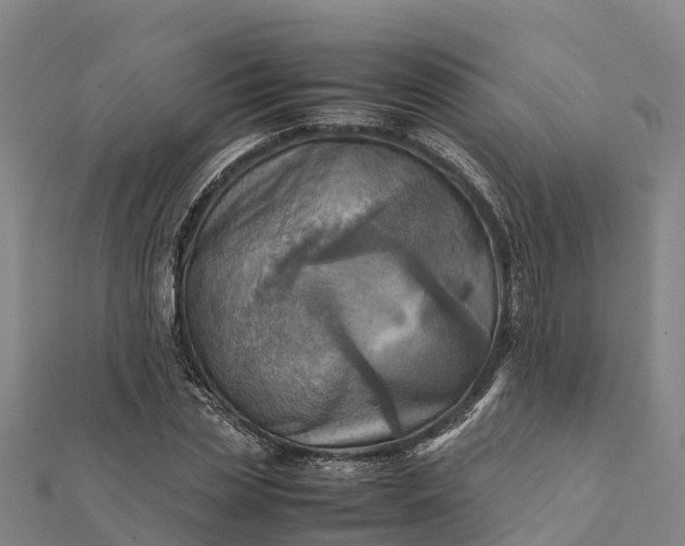 X0000112090829200908181302