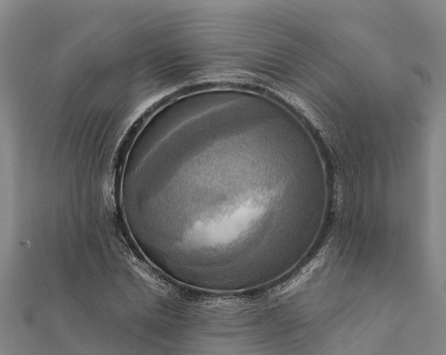 X0000112090830200908181302