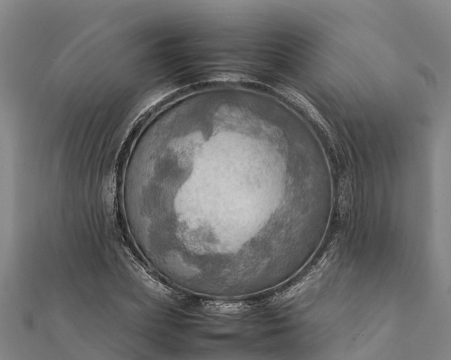 X0000112090831200908181302