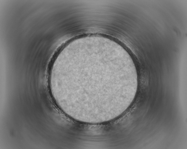 X0000112090832200908181302