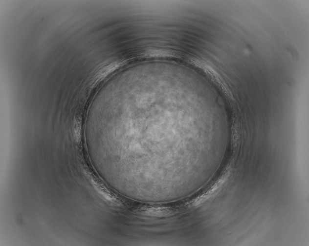 X0000112090833200908181302