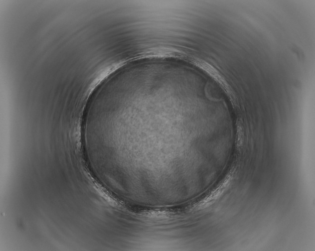 X0000112090834200908181302