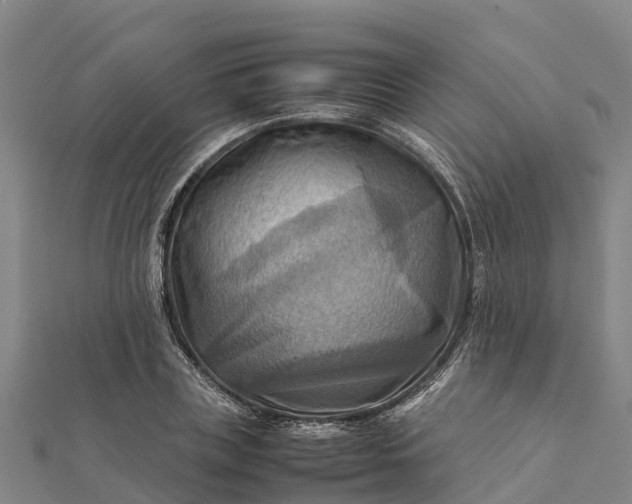 X0000112090835200908181302