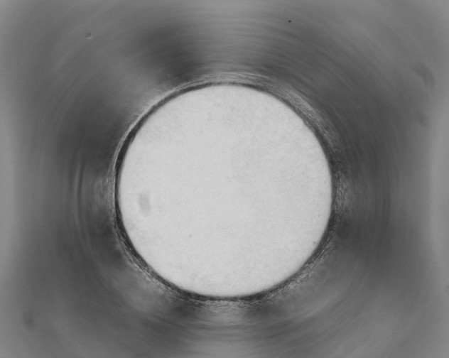 X0000112090836200908181302