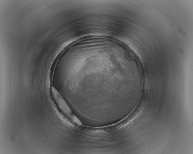 X0000112090837200908181302