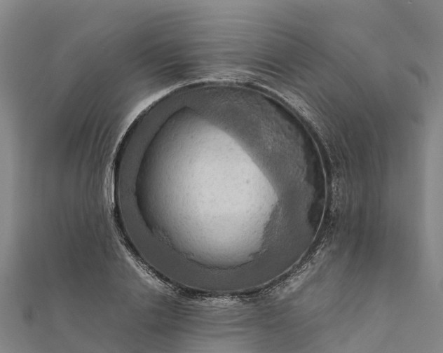 X0000112090838200908181302