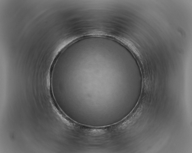 X0000112090839200908181302