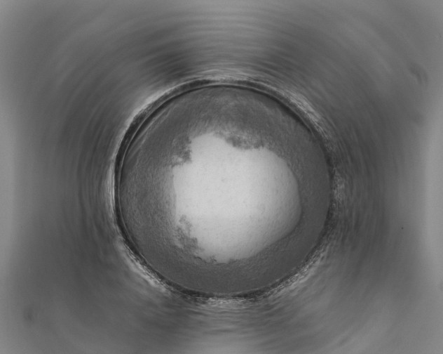 X0000112090840200908181302