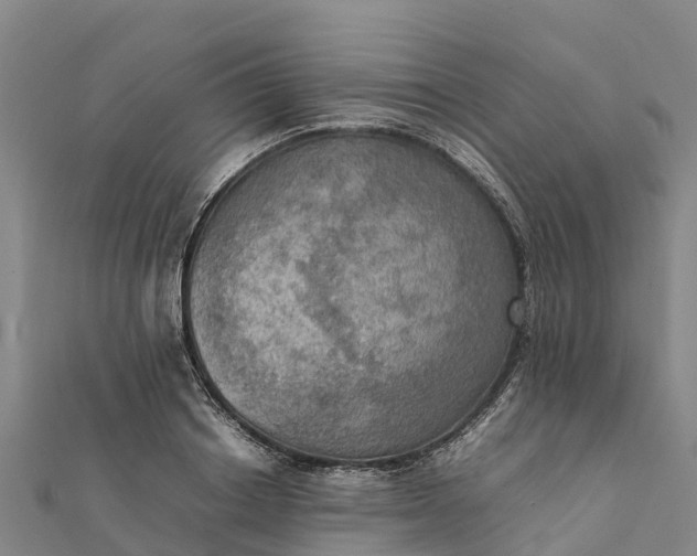 X0000112090842200908181302