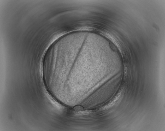 X0000112090843200908181302