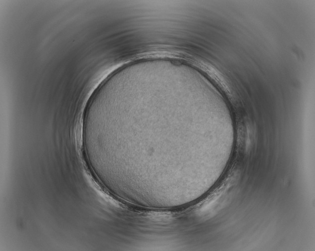 X0000112090844200908181302