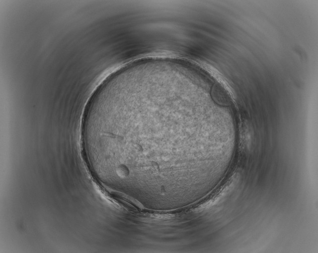 X0000112090845200908181302