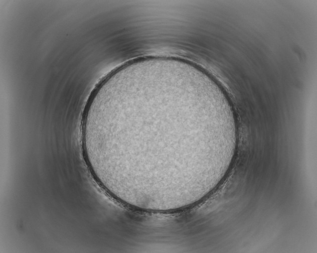 X0000112090848200908181302