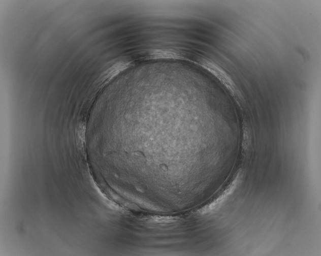 X0000112090849200908181302