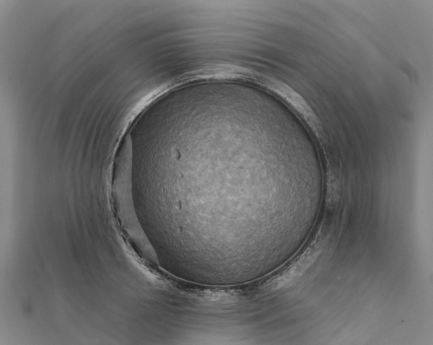 X0000112090850200908181302