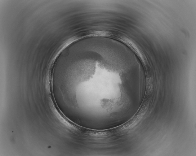 X0000112090851200908181302