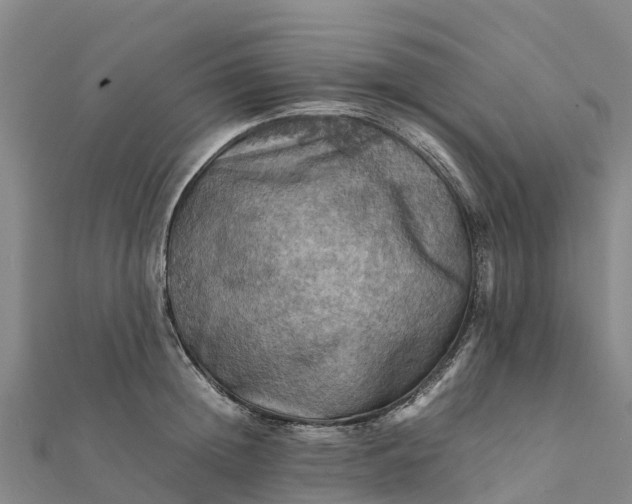 X0000112090852200908181302