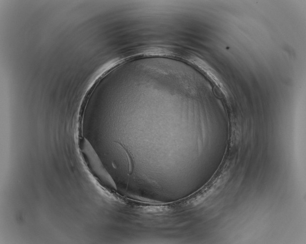 X0000112090853200908181302