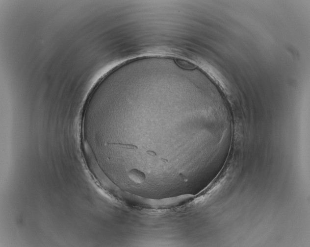 X0000112090854200908181302