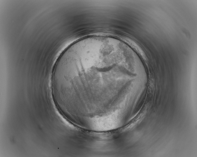 X0000112090855200908181302